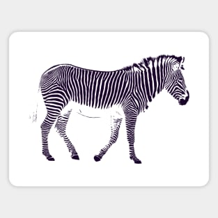 Zebra Stripes Magnet
